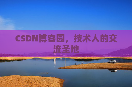 CSDN博客园，技术人的交流圣地